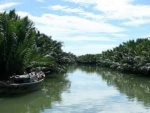 Tour Rừng Dừa 7 Mẫu Hội An